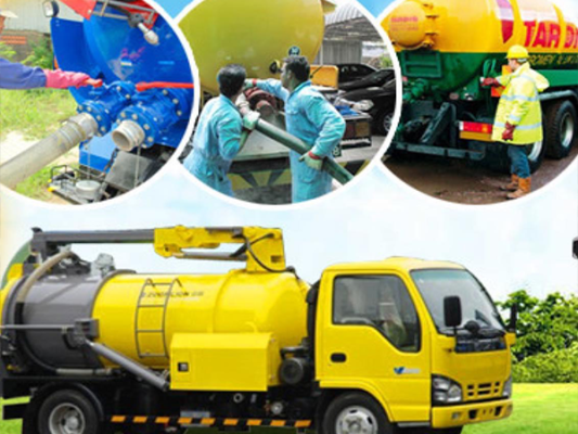 Môi Trường Thuận Phát Đạt