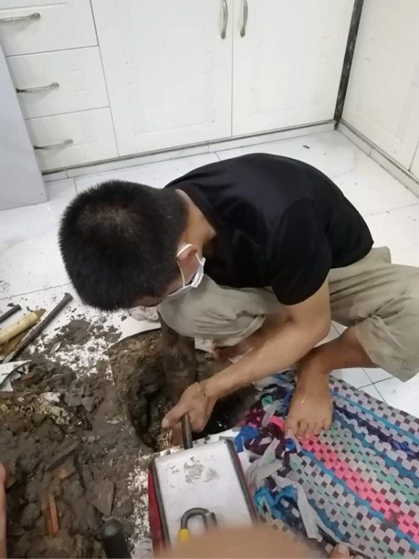 Môi Trường Thuận Phát Đạt