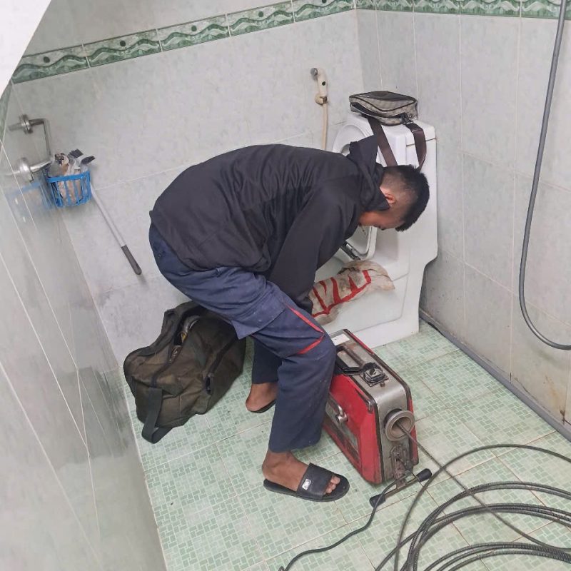 Môi Trường Thuận Phát Đạt