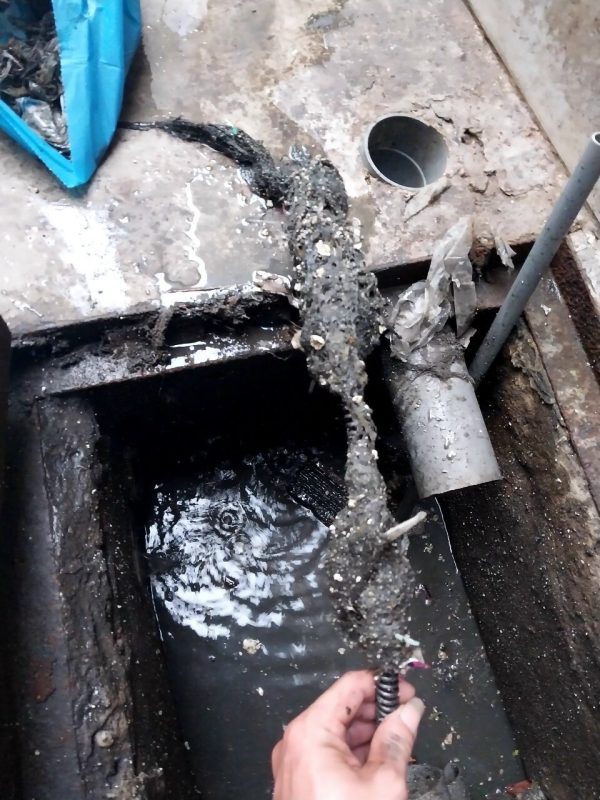 Môi Trường Thuận Phát Đạt