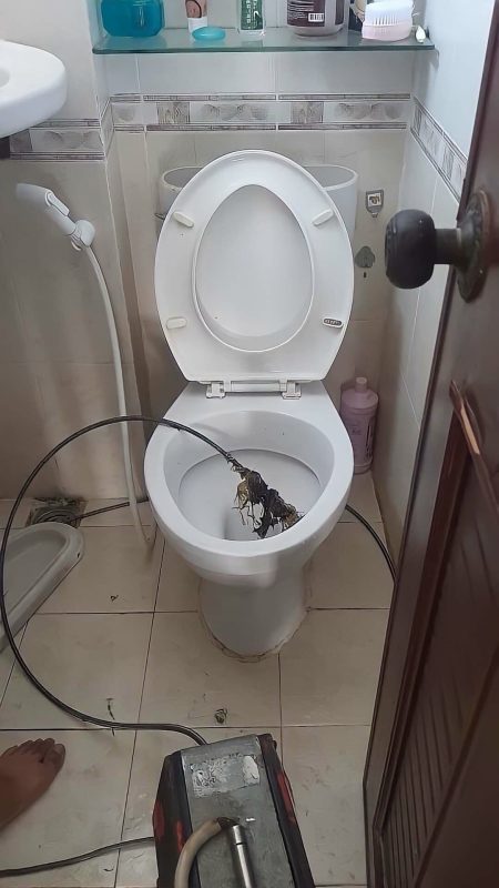 Môi Trường Thuận Phát Đạt