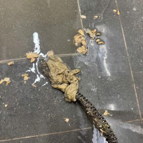 qu003ddịch+vụ+thông+cống+nghẹt+tphcm+giá+rẻ